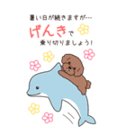 『トイプードル』夏のごあいさつ（個別スタンプ：12）
