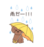 『トイプードル』夏のごあいさつ（個別スタンプ：15）