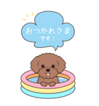 『トイプードル』夏のごあいさつ（個別スタンプ：18）