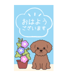 『トイプードル』夏のごあいさつ（個別スタンプ：22）