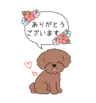『トイプードル』夏のごあいさつ（個別スタンプ：24）
