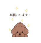 『トイプードル』夏のごあいさつ（個別スタンプ：26）