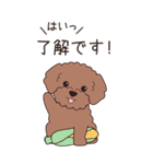 『トイプードル』夏のごあいさつ（個別スタンプ：27）