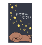 『トイプードル』夏のごあいさつ（個別スタンプ：32）