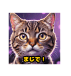 リアクションねこneko（個別スタンプ：1）