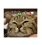 サバくんの日常4（個別スタンプ：3）