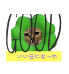 サバくんの日常4（個別スタンプ：6）
