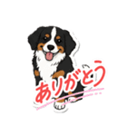使いやすい犬スタンプ ワンちゃん（個別スタンプ：4）