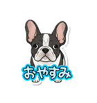 使いやすい犬スタンプ ワンちゃん（個別スタンプ：7）