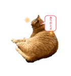 アズ＆ニコ 2（個別スタンプ：6）
