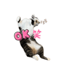 アズ＆ニコ 2（個別スタンプ：8）