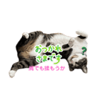 アズ＆ニコ0（個別スタンプ：5）