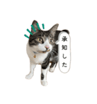 アズ＆ニコ0（個別スタンプ：6）