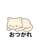 日常生活で使えるねこちゃんスタンプ（個別スタンプ：5）