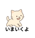 日常生活で使えるねこちゃんスタンプ（個別スタンプ：8）