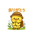 ひよこちゃん探検隊♪（個別スタンプ：3）