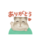 ハムスターのおもち♡（個別スタンプ：1）