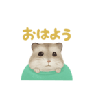 ハムスターのおもち♡（個別スタンプ：3）