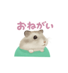 ハムスターのおもち♡（個別スタンプ：7）