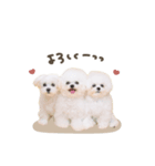 タラ.モチ.ヴィヴィちゃん♡mix（個別スタンプ：5）