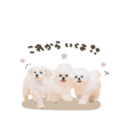タラ.モチ.ヴィヴィちゃん♡mix（個別スタンプ：7）
