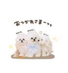 タラ.モチ.ヴィヴィちゃん♡mix（個別スタンプ：8）