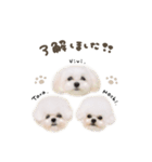 タラ.モチ.ヴィヴィちゃん♡mix（個別スタンプ：9）