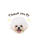 タラ.モチ.ヴィヴィちゃん♡mix（個別スタンプ：10）
