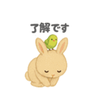 OK＆了解！やさしいどうぶつスタンプ（個別スタンプ：7）