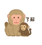 OK＆了解！やさしいどうぶつスタンプ（個別スタンプ：12）