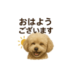 もこちゃんくん（個別スタンプ：1）