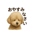 もこちゃんくん（個別スタンプ：2）