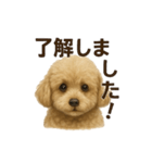もこちゃんくん（個別スタンプ：4）
