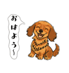 アクションk-gigi22（個別スタンプ：2）