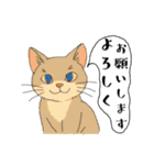 アクションk-gigi22（個別スタンプ：16）