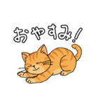 アクションk-gigi22（個別スタンプ：23）