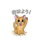 アクションk-gigi22（個別スタンプ：24）