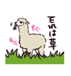 アルパカです.（個別スタンプ：12）