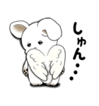 うさぎさん 2025 「天使ちゃん」（個別スタンプ：35）