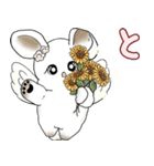 うさぎさん 2025 「天使ちゃん」（個別スタンプ：36）