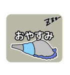 法螺貝（ほらがい）日常スタンプ（個別スタンプ：4）