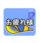 法螺貝（ほらがい）日常スタンプ（個別スタンプ：7）