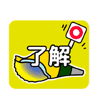 法螺貝（ほらがい）日常スタンプ（個別スタンプ：11）