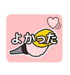 法螺貝（ほらがい）日常スタンプ（個別スタンプ：40）