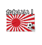 日章旗とサッカーボール（個別スタンプ：20）