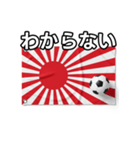 日章旗とサッカーボール（個別スタンプ：30）