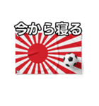 日章旗とサッカーボール（個別スタンプ：34）