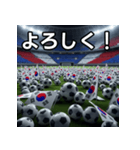 韓国国旗とサッカーボール（個別スタンプ：1）