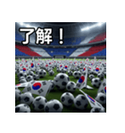 韓国国旗とサッカーボール（個別スタンプ：2）