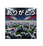 韓国国旗とサッカーボール（個別スタンプ：3）
